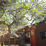 Camping Domaine du Ceinturon III outside