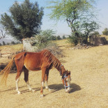 Aux Berges De Sambre