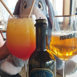 Casino- Le Llat Bebida