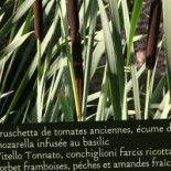 La Table de la Chalmelle drink