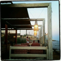 Red Cat À l'intérieur