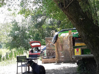 Le Portail Dans L'arbre