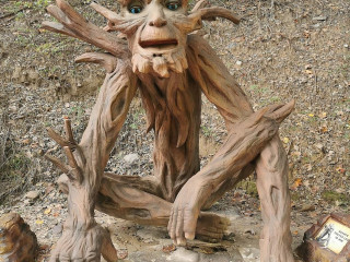 The Forest Of Fossils