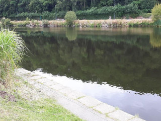 La Sterne