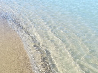 ️ Maxicoffee — Concept Store Plan De Campagne