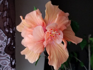 Bastide St Victor Maison D'hôtes Dans Le Lubéron