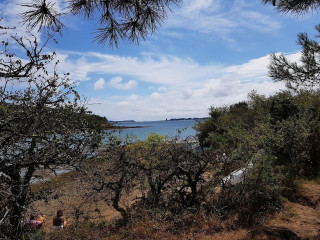 Au Rythme Des MarÉes L'huÎtre La Toulverne