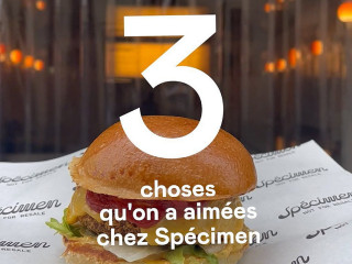 Spécimen Burger