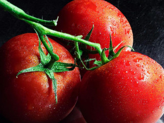 Multi Restauration Services