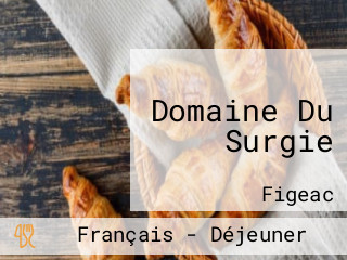 Domaine Du Surgie