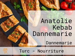 Anatolie Kebab Dannemarie