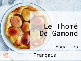 Le Thomé De Gamond
