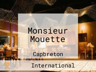 Monsieur Mouette