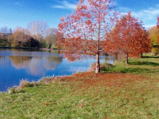 Brasserie De Lignes En Lignes La Puye