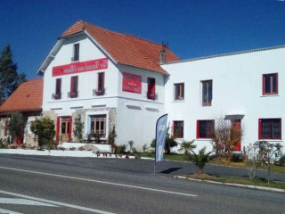 Un Canard Sous L'olivier