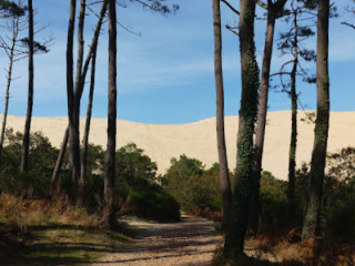 Bistro Du Camping