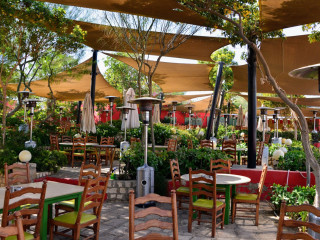 Andrea El Mariouteya New Giza