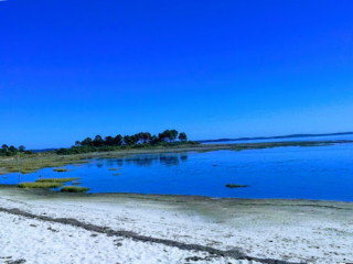 L'esquirey Sur Le Port Ostréicole D'andernos