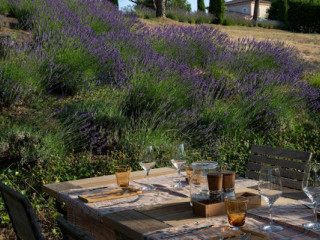 Les Vignes Et Son Jardin