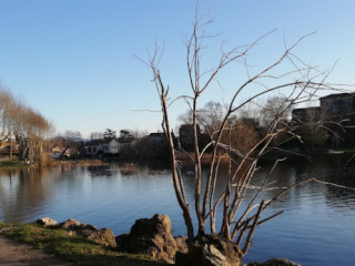 La Guinguette Du Lac