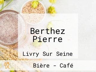 Berthez Pierre