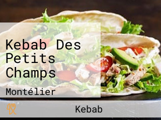 Kebab Des Petits Champs