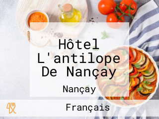 Hôtel L'antilope De Nançay