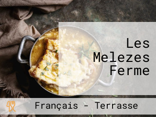 Les Melezes Ferme