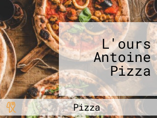 L'ours Antoine Pizza