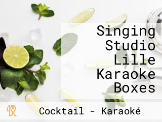 Singing Studio Lille Karaoke Boxes