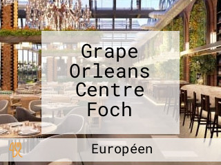 Grape Orleans Centre Foch