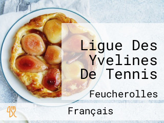 Ligue Des Yvelines De Tennis