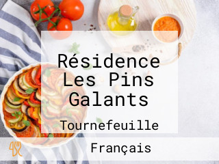 Résidence Les Pins Galants