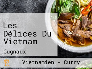 Les Délices Du Vietnam