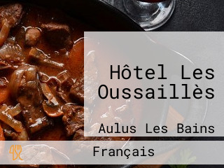 Hôtel Les Oussaillès