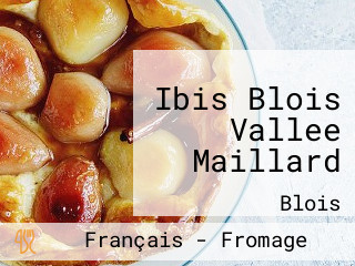 Ibis Blois Vallee Maillard