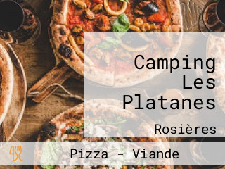 Camping Les Platanes