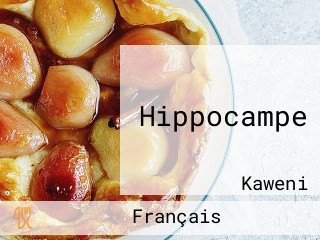 Hippocampe