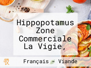 Hippopotamus Zone Commerciale La Vigie, 67540, Strasbour