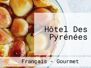 Hôtel Des Pyrénées