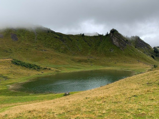 Ferme Auberge du Lys Blanc