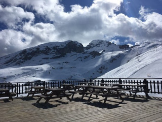 Le Vieux Pisteur