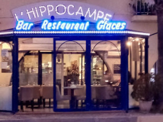 L'hippocampe