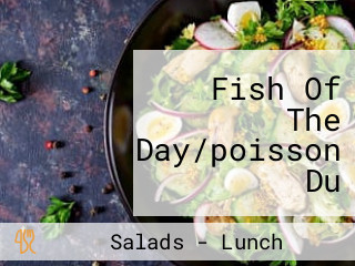 Fish Of The Day/poisson Du Jour/شواية سمك اليوم