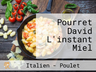 Pourret David L'instant Miel