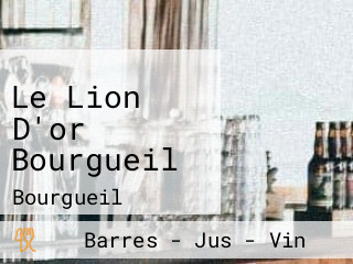 Le Lion D'or Bourgueil