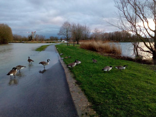 Commune De Chalette Sur Loing