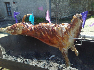 Absolutely Bbq Hog Roast Catering