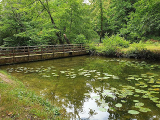 Auberge De L'etang Du Puits