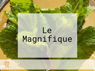 Le Magnifique